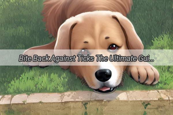 Bite Back Against Ticks The Ultimate Guide to Treating Your Dogs Tick Bites